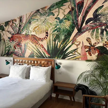 Casa Apollo Bed and Breakfast