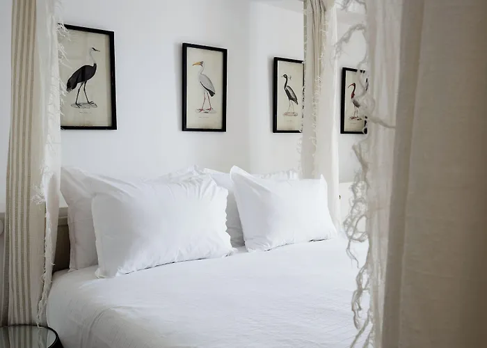 Casa Apollo Bed & Breakfast