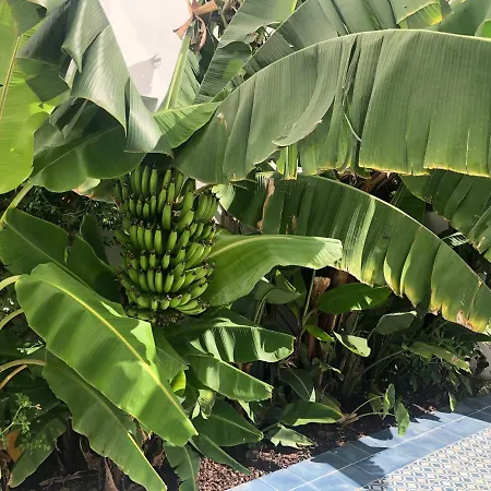 Bed & Breakfast Casa Apollo Faro