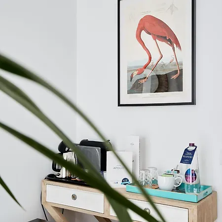 Bed & Breakfast Casa Apollo