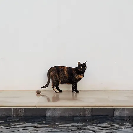 Bed & Breakfast Casa Apollo 4*